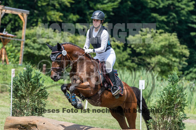 Goldene Schärpe 2021 - Ponys