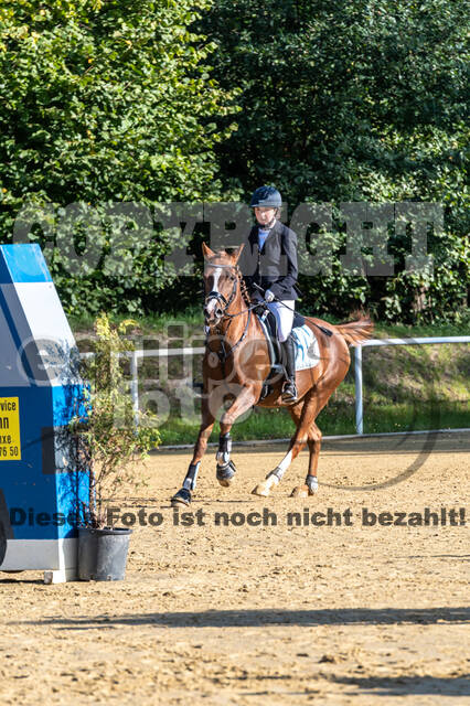 RFV Dinslaken-Hiesfeld (Herbstturnier)