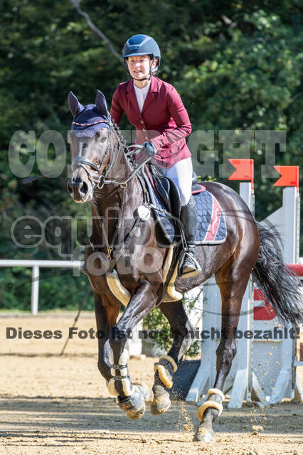 RFV Dinslaken-Hiesfeld (Herbstturnier)