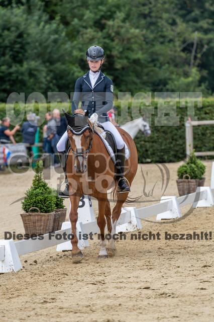 Goldene Schärpe 2021 - Ponys