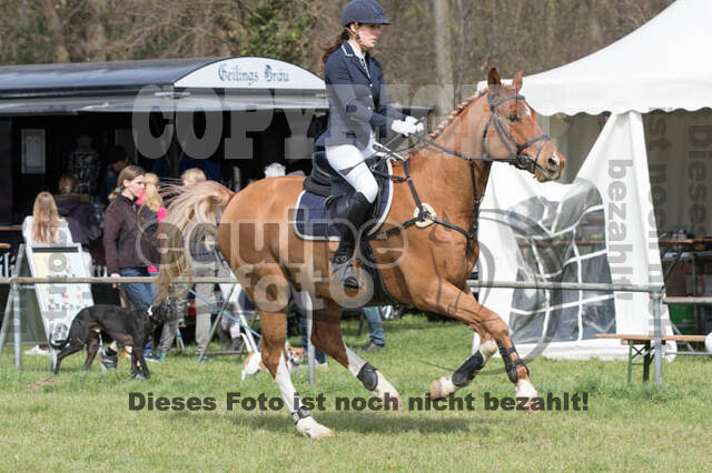 Frühjahrsvielseitigkeit RV Seydlitz Kamp