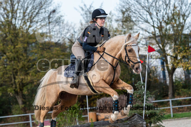IGV Lehrgang der Sieger der Cups mit Frank Ostholt