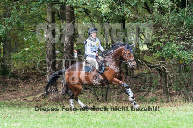 Vielseitigkeit RSV Wesel Obrighoven (26.+27.09.2020)