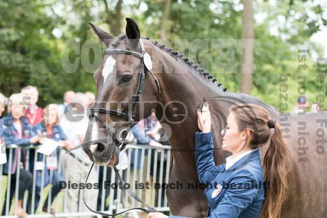 FEI European Championship