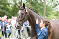 FEI European Championship