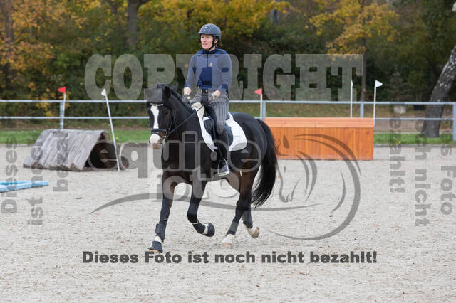 IGV Lehrgang der Sieger der Cups mit Frank Ostholt