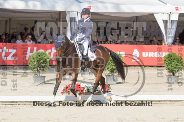 FEI European Championship Eventing 2017