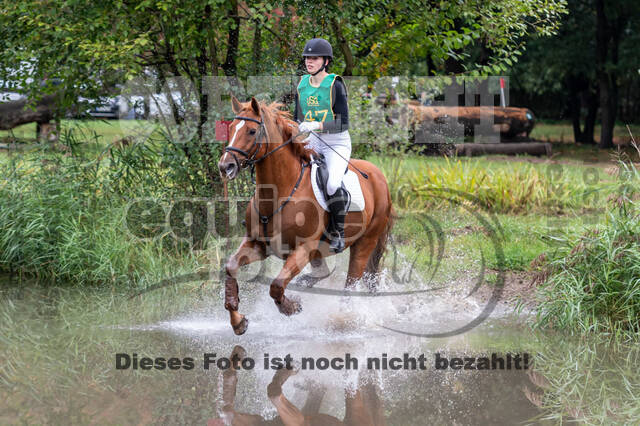 Vielseitigkeit RSV Wesel Obrighoven (26.+27.09.2020)