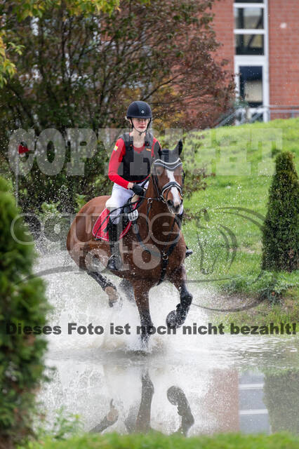 Goldene Schärpe 2020 - Pferde