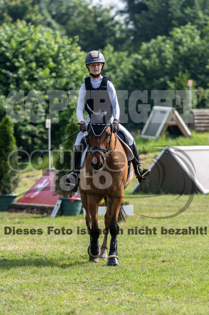 Goldene Schärpe 2021 - Ponys