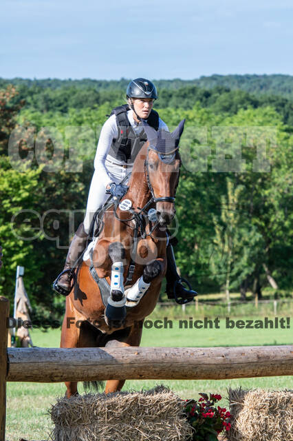Bonn-Rodderberg Late-Entry-Vielseitigkeit (30.06.2020)