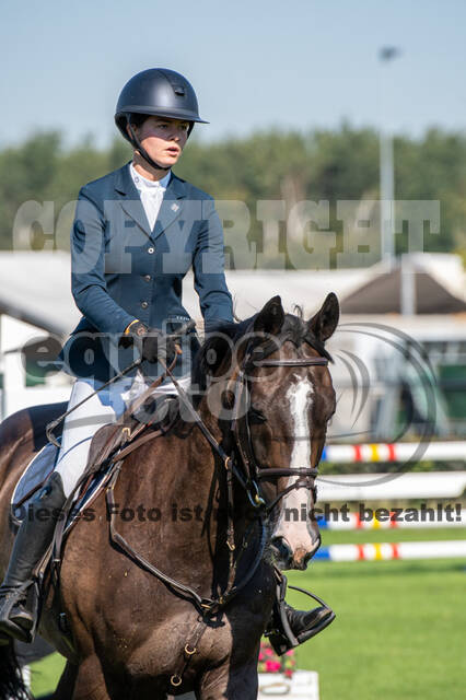 De Peelbergen (August 2020)
