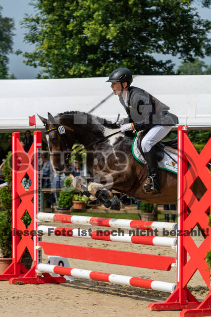 Goldene Schärpe 2021 - Ponys