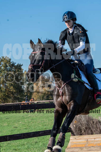 Vielseitigkeitslehrgang mit Jürg Kurbel (9.+10.11.2019)