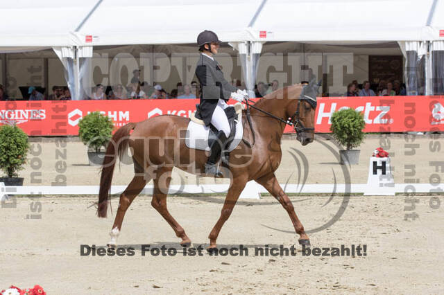 FEI European Championship Eventing 2017