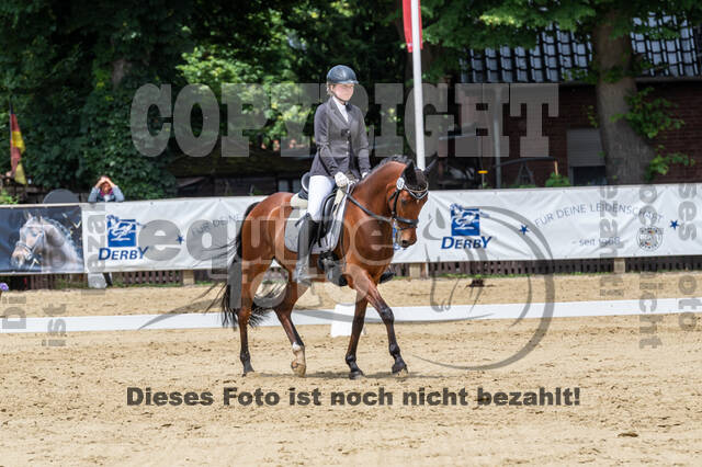 Goldene Schärpe 2021 - Ponys