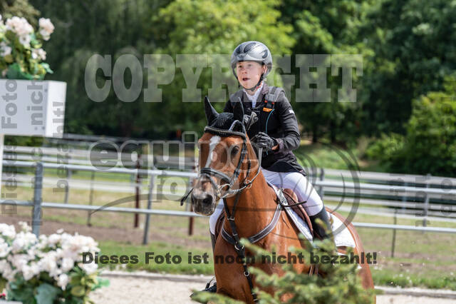 Late-Entry-Vielseitigkeit Langenfeld (06.+07.07.2020)