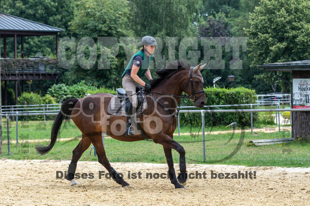 Hunter Geländetraining 10.07.2021 (Sonsbeck)