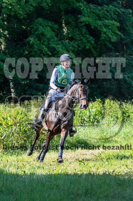 Westerstede Horse Trials (10.-13.06.2021)