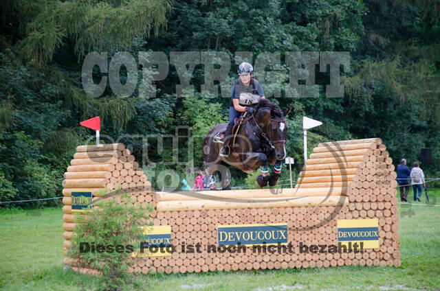 FEI European Championship