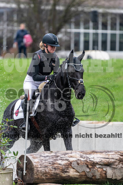 Goldene Schärpe 2020 - Pferde