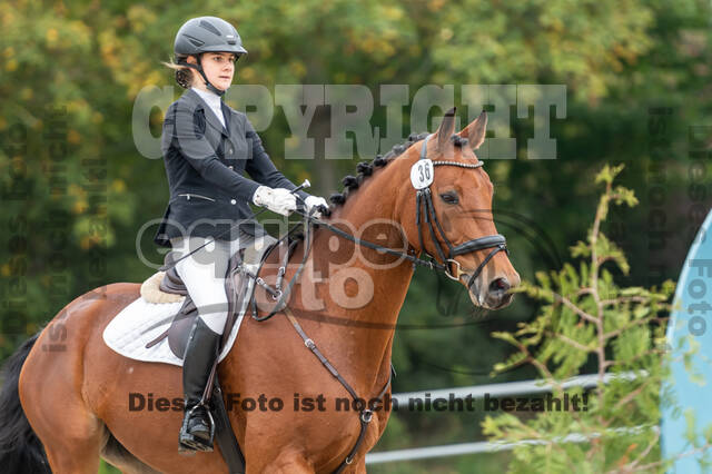 Reiter Schleswig-Holstein