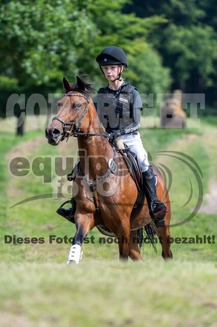 Goldene Schärpe 2021 - Ponys