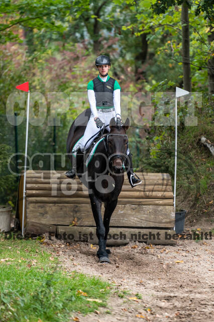 Goldene Schärpe 2020 - Pferde