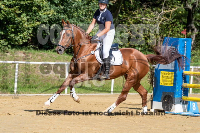RFV Dinslaken-Hiesfeld (Herbstturnier)