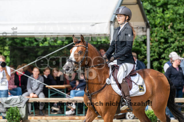 Goldene Schärpe 2021 - Ponys