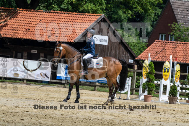 Goldene Schärpe 2021 - Ponys