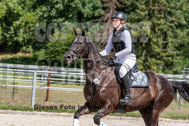 Late-Entry-Vielseitigkeit Langenfeld (06.+07.07.2020)