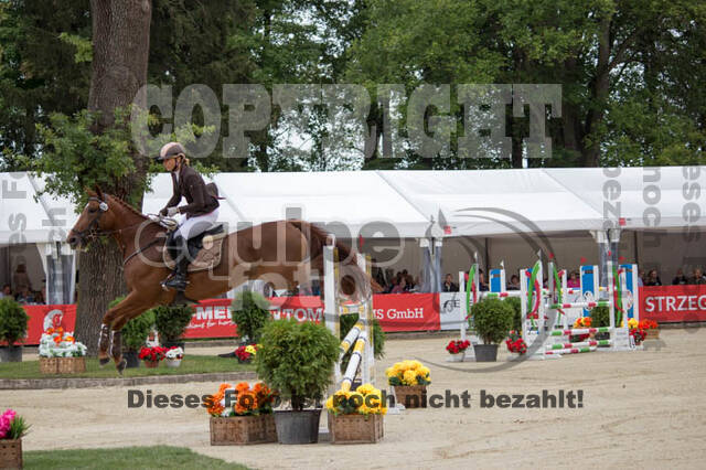 FEI European Championship Eventing 2017