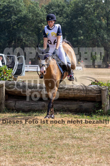 Late-Entry Vielseitigkeit Hamminkeln/Wesel (01.+02.08.2020)