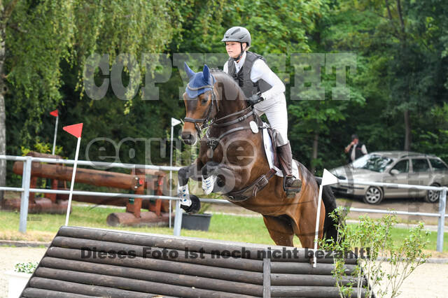 Late-Entry-Vielseitigkeit Langenfeld (11.+13./14.06.2020)