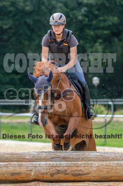 Hunter Geländetraining 10.07.2021 (Sonsbeck)