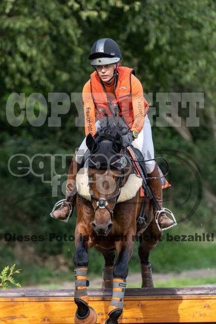 Late-Entry-Vielseitigkeit Langenfeld (06.+07.07.2020)