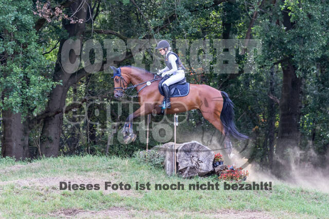 Late-Entry Vielseitigkeit Hamminkeln/Wesel (01.+02.08.2020)