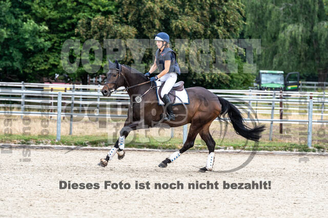 Late-Entry-Vielseitigkeit Langenfeld (11.+13./14.06.2020)