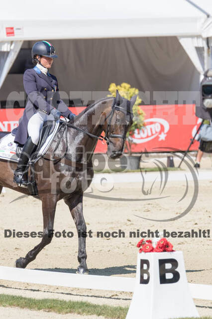 FEI European Championship
