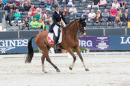 FEI European Championship Eventing 2019