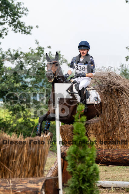 De Peelbergen (August 2020)