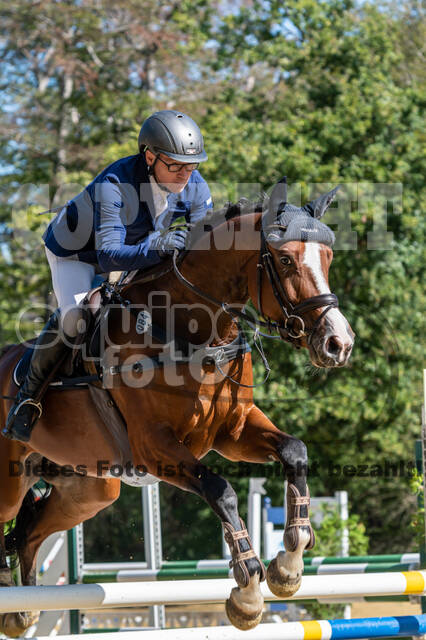 RFV Dinslaken-Hiesfeld (Herbstturnier)