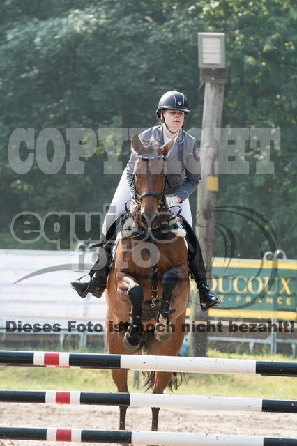Vielseitigkeitsturnier RFV Bad Honnef