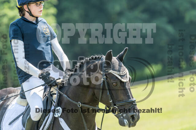 Goldene Schärpe 2021 - Ponys