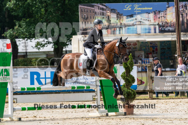 Goldene Schärpe 2021 - Ponys