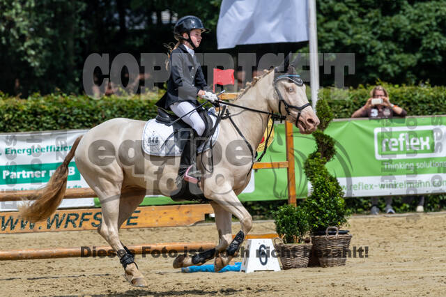 Goldene Schärpe 2021 - Ponys