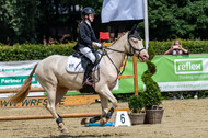 Goldene Schärpe 2021 - Ponys