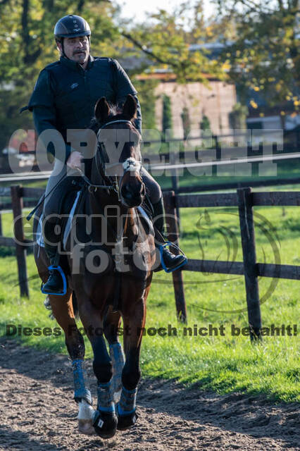 Vielseitigkeitslehrgang mit Jürg Kurbel (9.+10.11.2019)