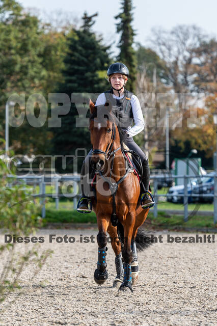 IGV Lehrgang der Sieger der Cups mit Frank Ostholt